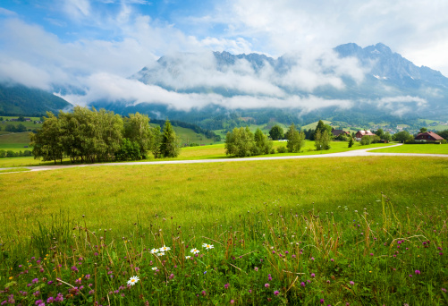 Alps mountain meadow tranquil summer view