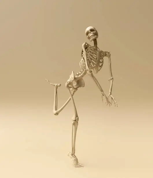 Photo of skeleton poses