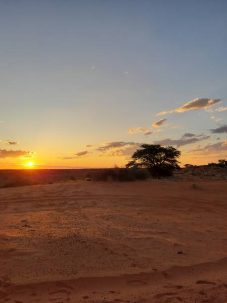 istock Namibian farm sunset 1494825449