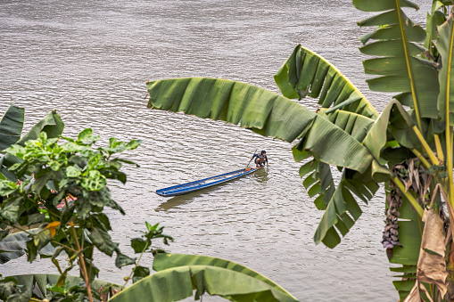 Mekong River, Luang Prabang, Laos - March 13th 2023: Man in a small canoe seen under the foliage of a banana tree
