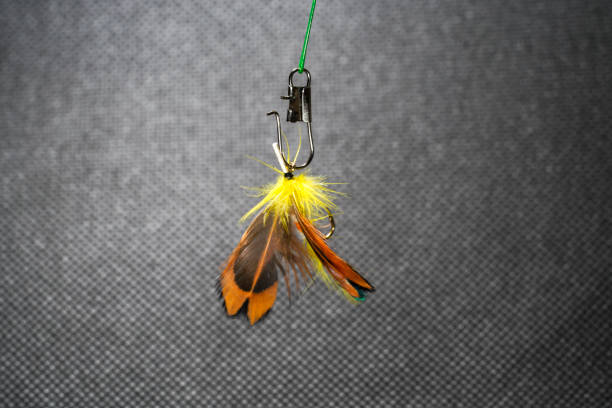 fly for fishing on a background of colored bokeh lights