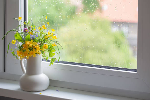 istock summer flowers in white jug on windowsill 1494833231
