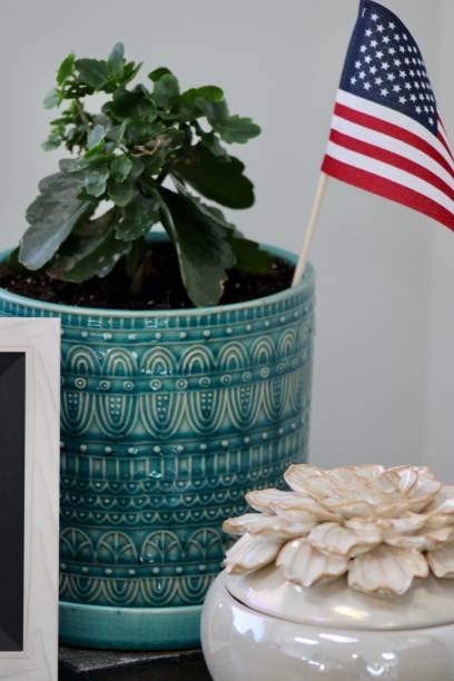 istock Americana Kalanchoe 1494834579