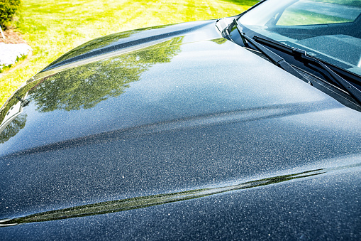 Springtime maple tree yellow pollen dust completely covering the hood of a black car.