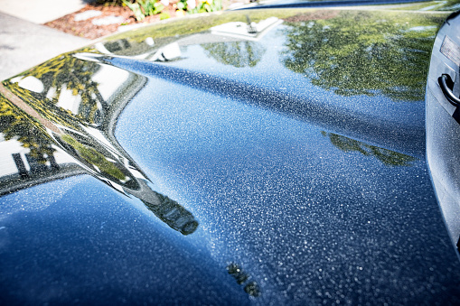 Springtime maple tree yellow pollen dust completely covering the hood of a black car parked in a suburban driveway.