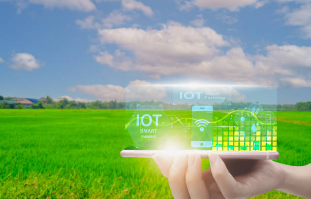 istock smart farmer holding smartphone,rice fields production control,concept agricultural product control technology,to agriculture future trading world market,track productivity,satellite for Agriculture 1494838065