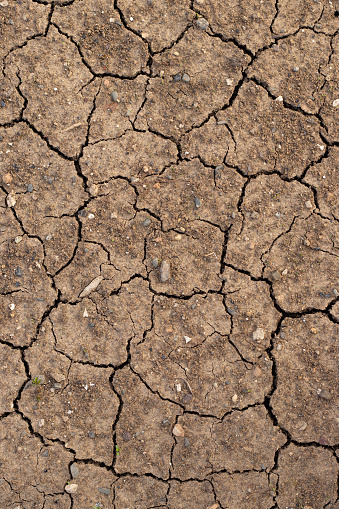 Closeup macro background texture of dry cracked ground dirt in hot summer