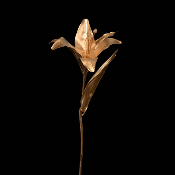 istock golden flowers on black background, clipping path 1494840077