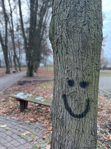 tree in the park, graffiti on the tree - smile