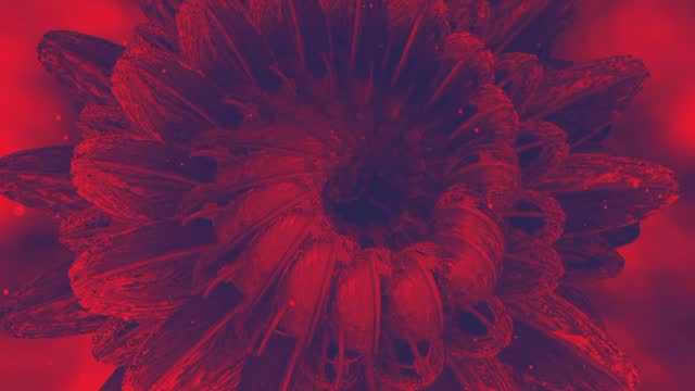 Red flower shape glow background animation