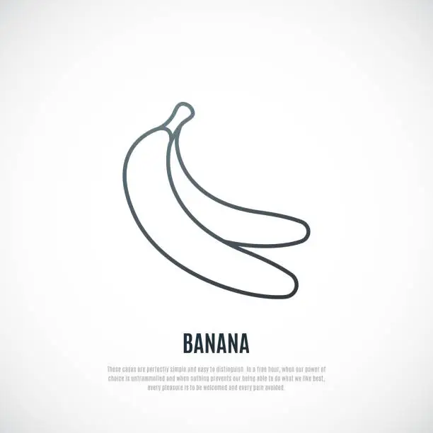 Vector illustration of Simple illustration of bananas pair. Healthy food symbol. Vector Bananas icon in thin line style.