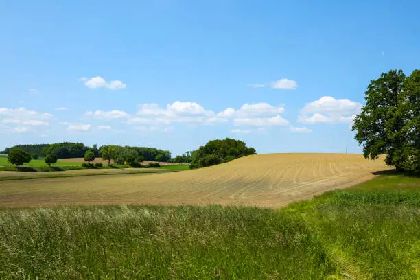 Fields with blue sky, clouds and trees in the Dachau hinterland, Bavaria, near Munich