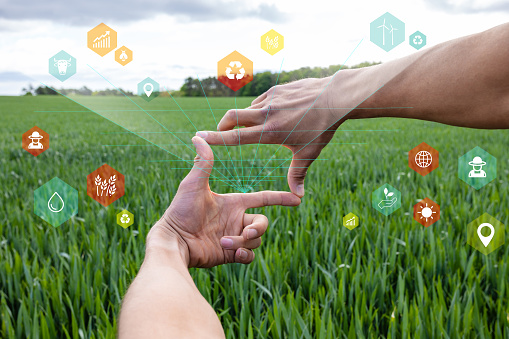 An unrecognisable farmer creating a finger frame with his hands, to frame part of the wheat crop in his field on his farm. Digital graphics have been added to the image to show the future of farming and using AI technology.
