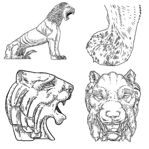 Vector illustration of Set of live tigers roaring and growling. Drawing of live and made of stone body and muzzles. Animals of Asia, Chinese lunar New Year symbol and zodiac. Vector.