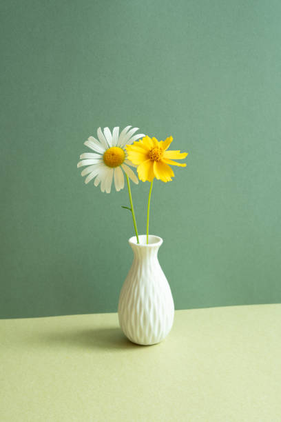 istock Vase of white and yellow flower on table. green wall background. minimal object 1494851275