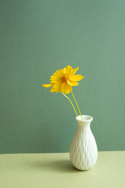 istock Vase of yellow flower on table. green wall background. minimal object 1494851345