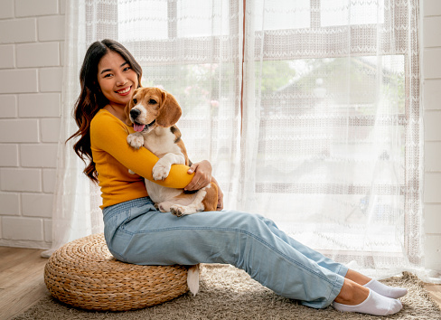 Young Asian girl look at camera with smiling also hold and hug beagle dog and sit in front of glass door in her house and she look happy to play fun together.