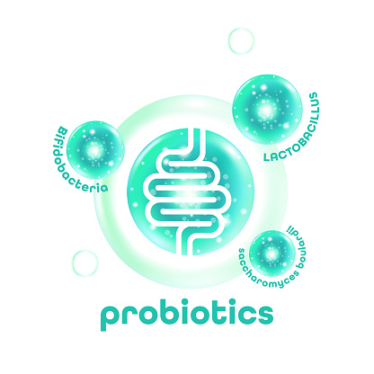 Probiotic Foods Good Bacteria