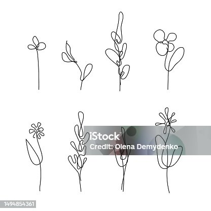 istock Plant line sketch. Set of isolated drawings of flowers, plants, isolated on white background. Abstract botanical illustrations. 1494854361