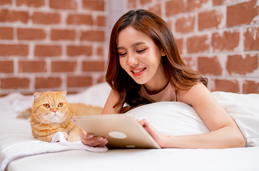 Beautiful Asian woman lie on bed and enjoy to use tablet also stay near her orange cat with happiness in the house.