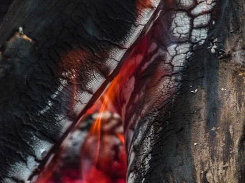 Close-up photo of a wood log burning up.
