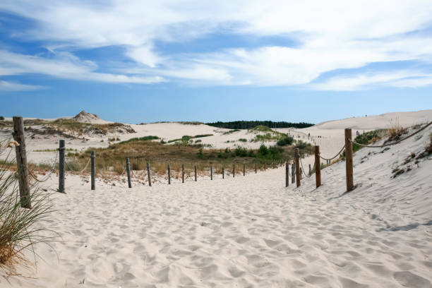 istock moving sand dune in Slowinski National Park, Leba, Poland 1494856633