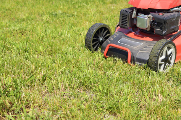 istock Lawn mower on cut grass. Mowing the grass. 1494858929