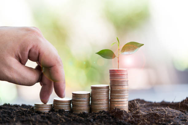 istock Fingers walking up on coins stack or money stack with young plant. The concept of step to save money 1494859520
