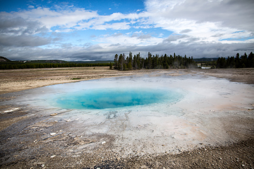 one of more than 10,000 thermal features in Yellowstone. Research on heat-resistant microbes in the park’s thermal areas has led to medical, forensic, and commercial uses.