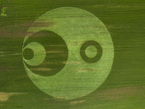 Crop circles in northern Italy