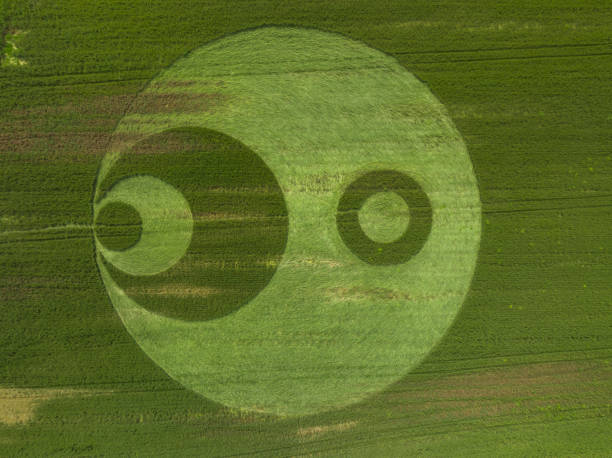 Crop circles Crop circles in northern Italy crop circle stock pictures, royalty-free photos & images
