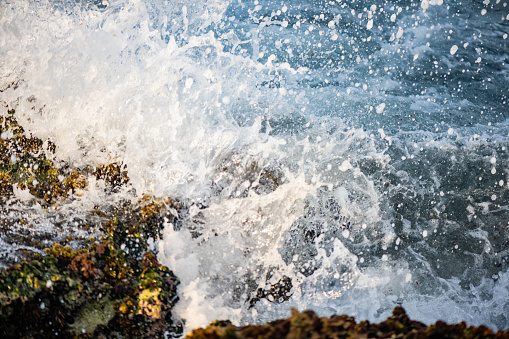 This is a close up photographed of rough Carribbean Sea waves crashing at the beach on the rocky Akumal coastline in Quintana Roo on a spring day in Mexico.