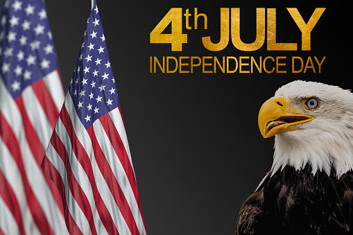 Independence Day is an American holiday celebrated every year on 4th of July in honor of Independence.