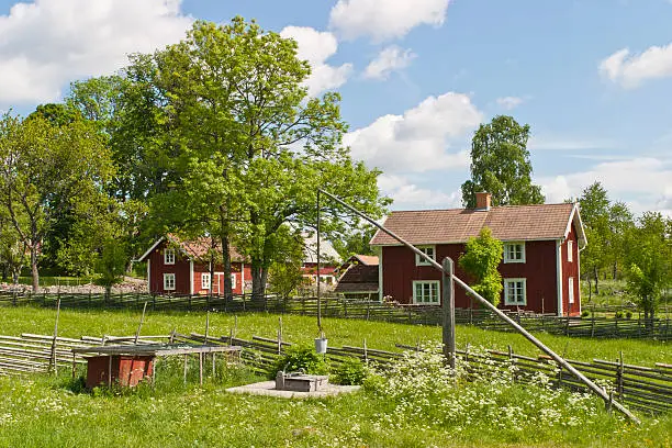 Idyllic farm in summer landscape