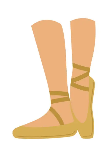 Vector illustration of Legs In Pointe Shoes