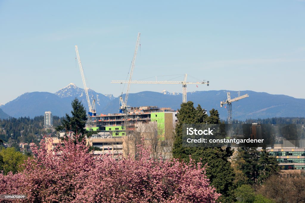 Springtime Commercial Construction In West Coast British Columbia Scenic of construction New Westminster BC.  West coast mountain range and blooming Japanese cherry tree BC Stock Photo