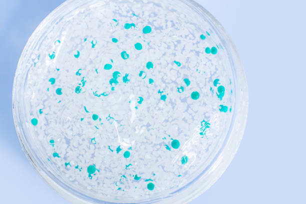 istock transparent gel with pellets in a Petri dish. On a blue background. 1494874541