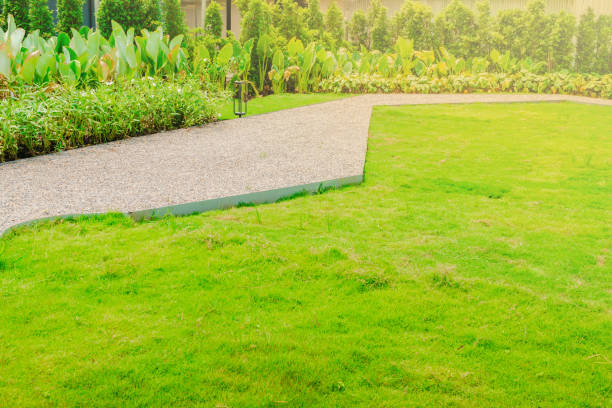 istock Garden landscape design with pathway intersecting bright green lawns and shrubs white sheet walkway in the garden. 1494876690