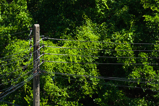 Utility pole with nature background