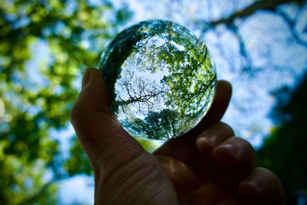 istock Hand holding crystal ball against trees 1494879334