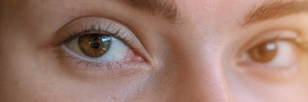 istock Young woman face with brown eye close up view. 1494880314