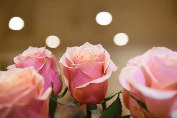 A bouquet of luxurious flowers.