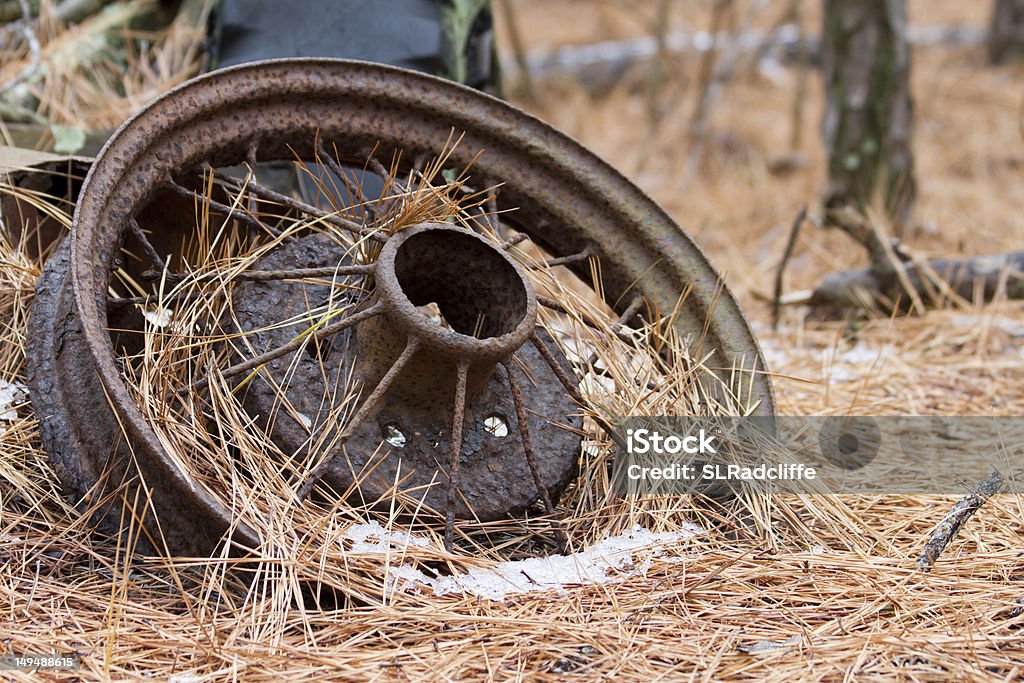 Old, rusty de pino cubierta de la aguja de rueda s'encuentra en el bosque. - Foto de stock de Abandonado libre de derechos