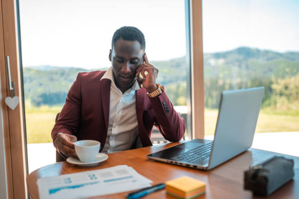 istock Successful Black Salesman Working At Home 1494907833