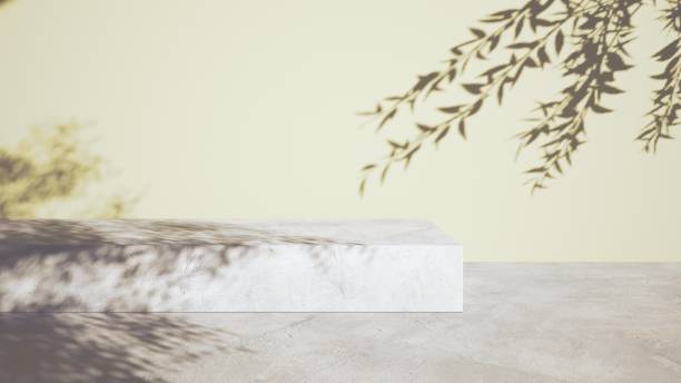 istock Studio background for product presentation. Empty room with sunlight and shadow of leaves on the wall. Podium for advertising cosmetics and other products. 3d rendering 1494908393
