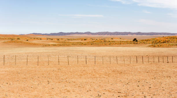 istock A view of desert landscape 1494911888