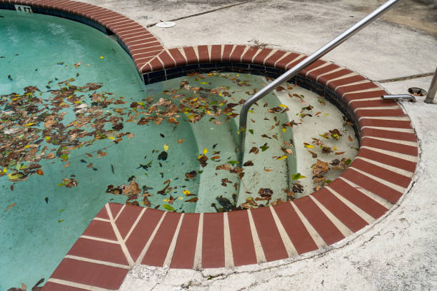 istock Dirty pool covered in leaves 1494912114