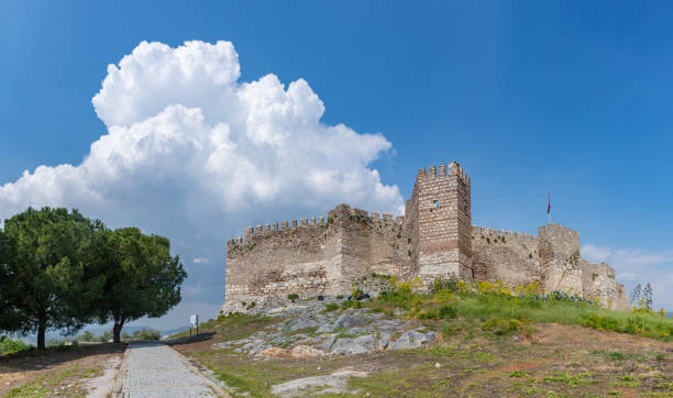 istock Selcuk or Ayasuluk Castle 1494912558