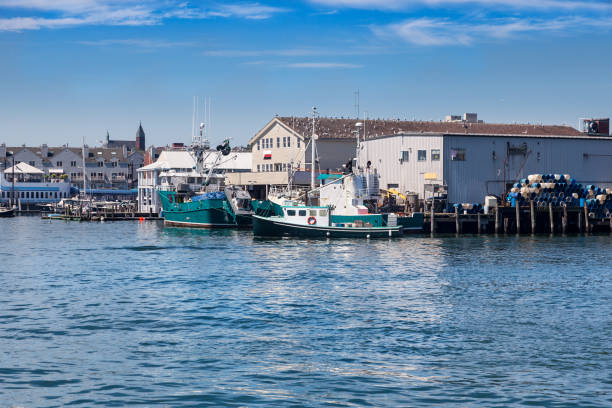 istock Gulls hang around the boats 1494913019