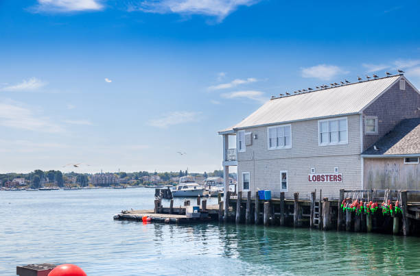 istock Portland lobster business 1494913071